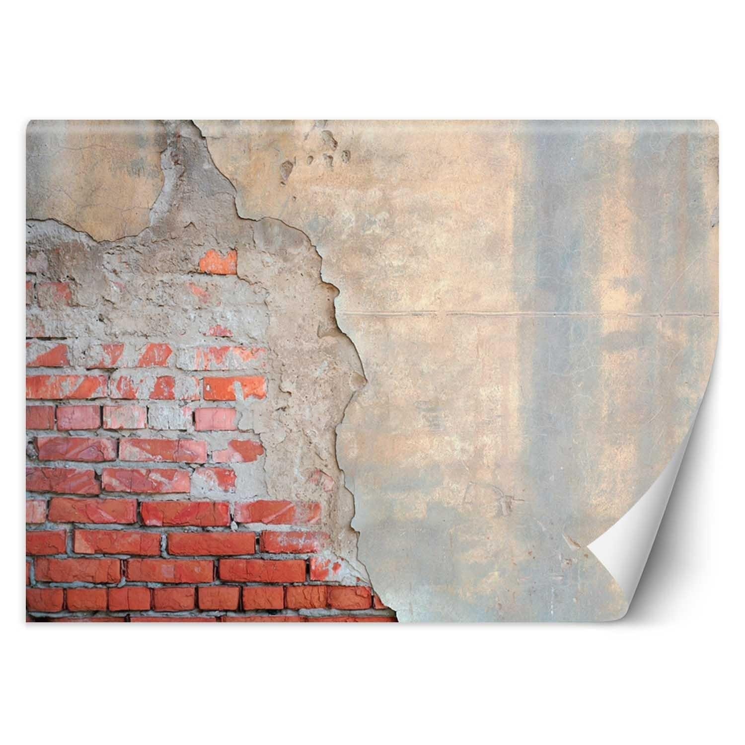 Fototapetes, ķieģeļu optika, siena, betons 3d Home Decor