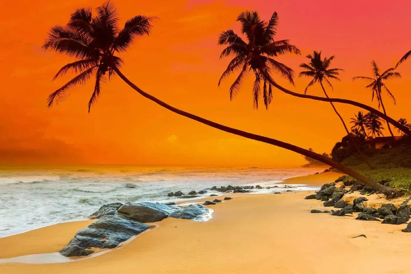 Fototapetes - Saulriets virs tropiskas jūras, N3230, 375x250 cm D-ART