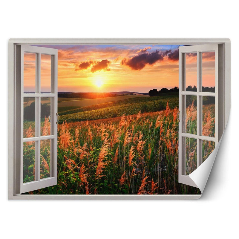 Fototapetes, Skats no loga - saulriets pāri pļavai Home Decor