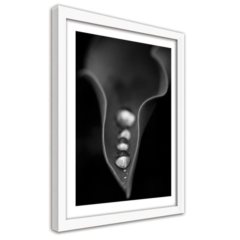 Glezna baltā rāmī - Water drops on the leaf  Home Trends DECO