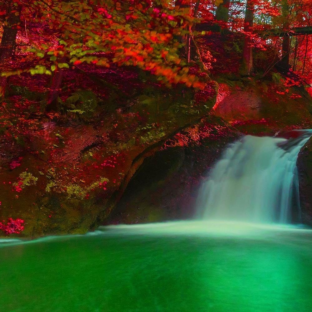 Glezna baltā rāmī - Waterfall And Autumn Trees  Home Trends DECO
