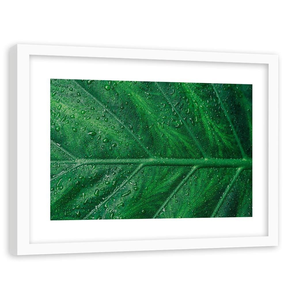 Glezna baltā rāmī - Wet Leaf Close Up  Home Trends DECO