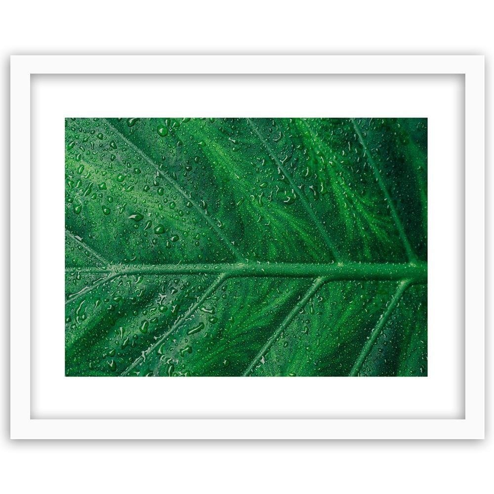 Glezna baltā rāmī - Wet Leaf Close Up  Home Trends DECO