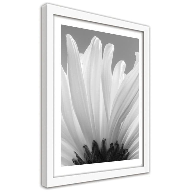 Glezna baltā rāmī - White chrysanthemums 2  Home Trends DECO