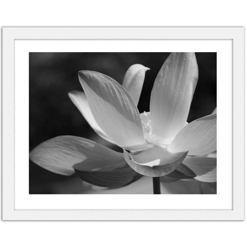 Glezna baltā rāmī - White lilies  Home Trends DECO