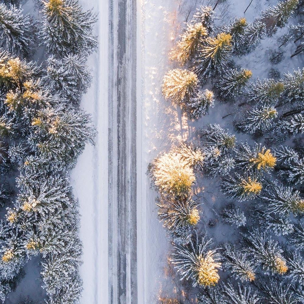 Glezna baltā rāmī - Winter Forest With A Bird's Eye View  Home Trends DECO