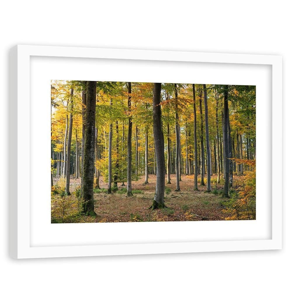 Glezna baltā rāmī - Yellow Autumn Forest  Home Trends DECO