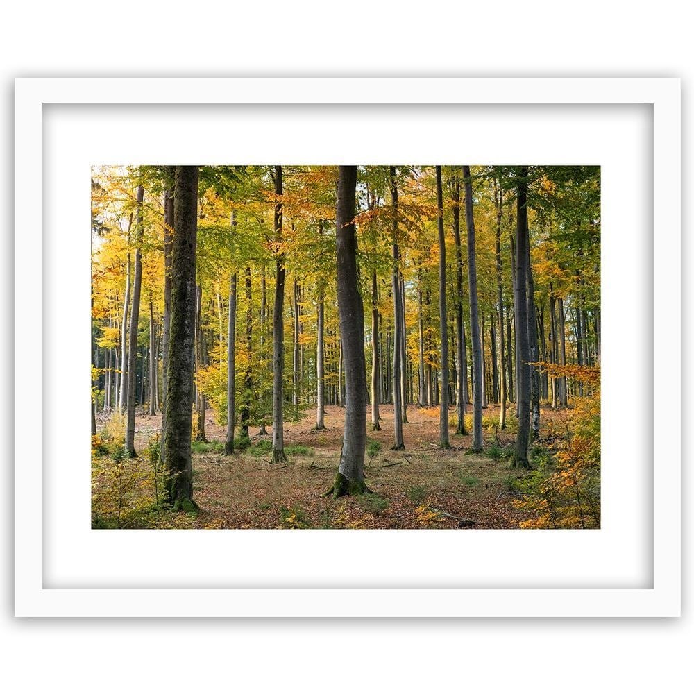 Glezna baltā rāmī - Yellow Autumn Forest  Home Trends DECO