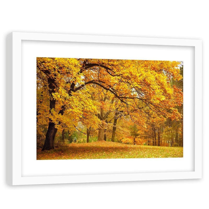Glezna baltā rāmī - Yellow Autumn Trees  Home Trends DECO