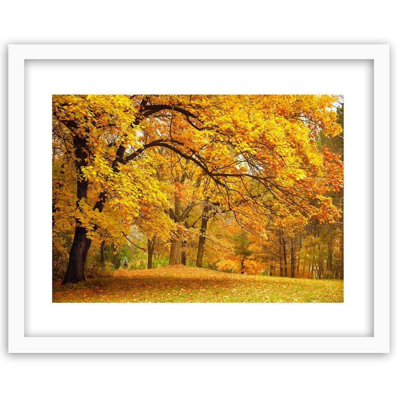 Glezna baltā rāmī - Yellow Autumn Trees  Home Trends DECO