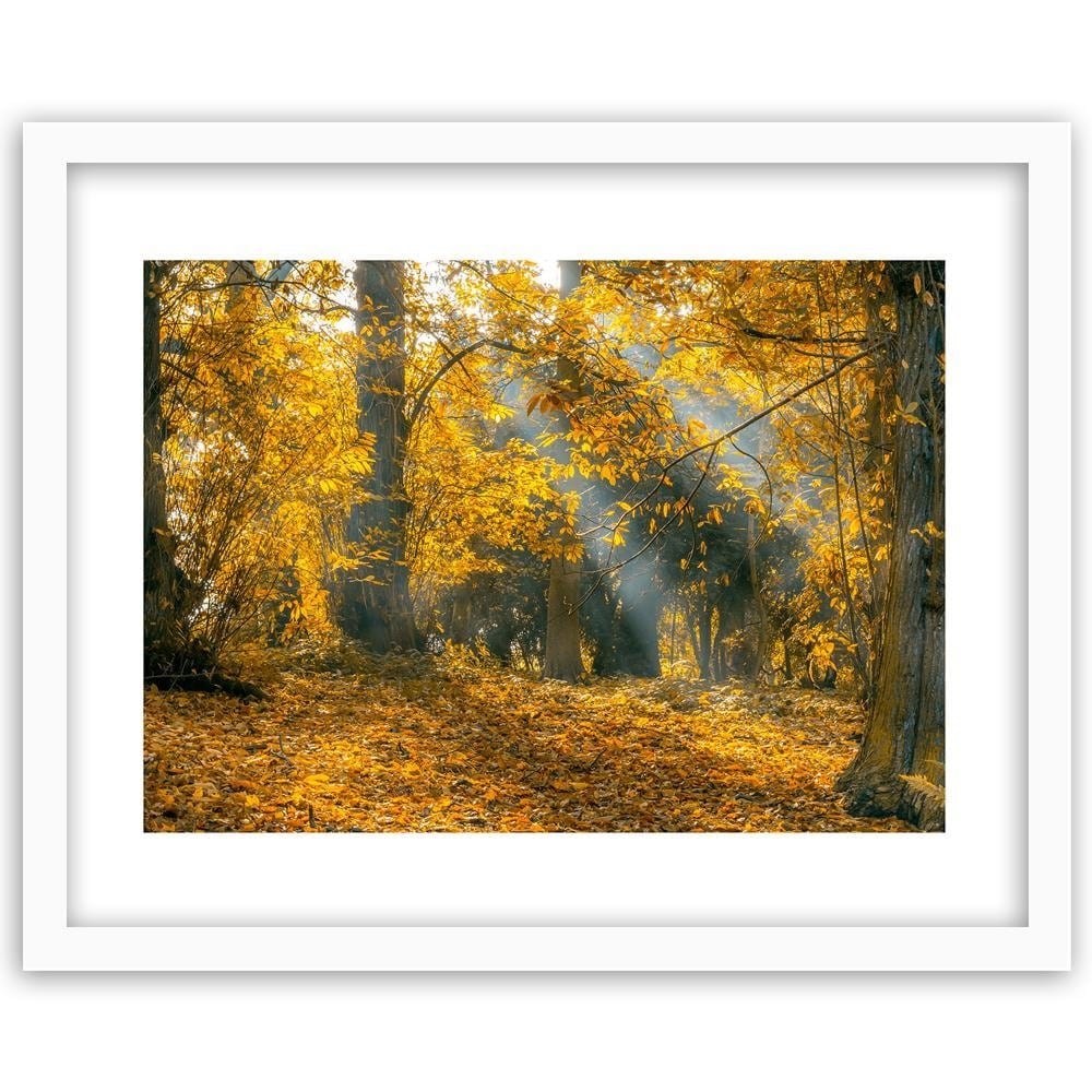 Glezna baltā rāmī - Yellow Trees In The Park  Home Trends DECO