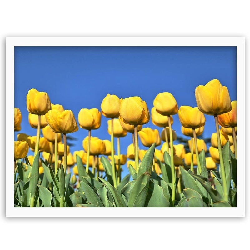 Glezna baltā rāmī - Yellowe Flowers  Home Trends DECO