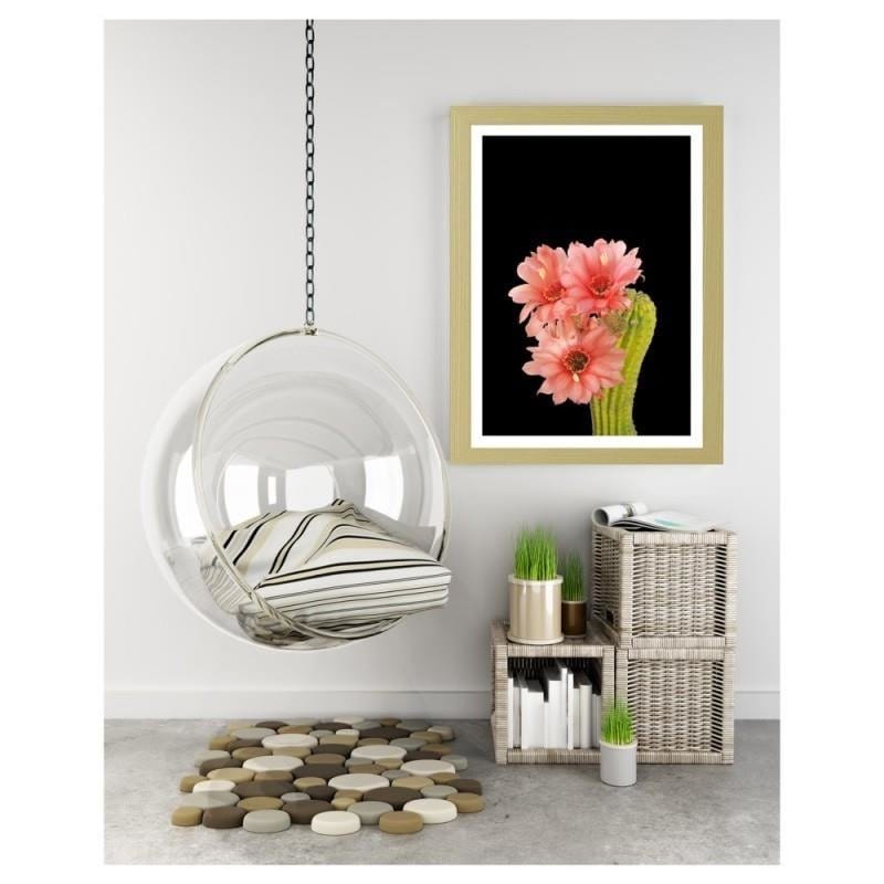 Glezna bēšā rāmī - A cactus with red flowers  Home Trends DECO