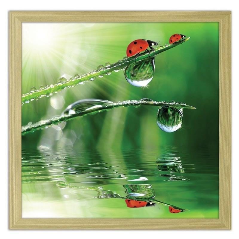 Glezna bēšā rāmī - A ladybird on a dewy grass  Home Trends DECO