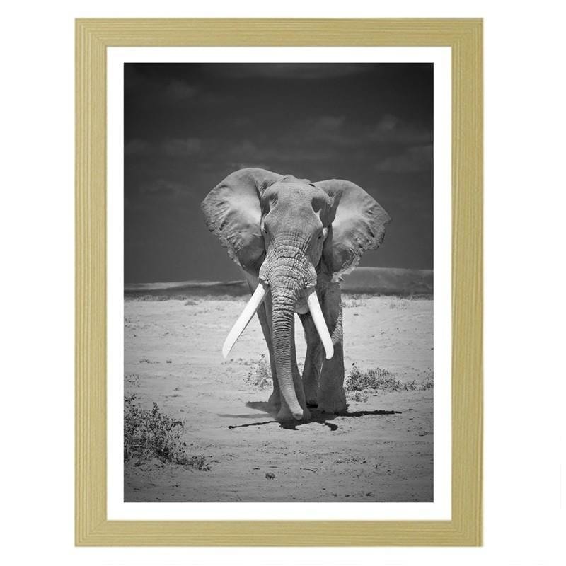Glezna bēšā rāmī - A lonely wandering elephant  Home Trends DECO