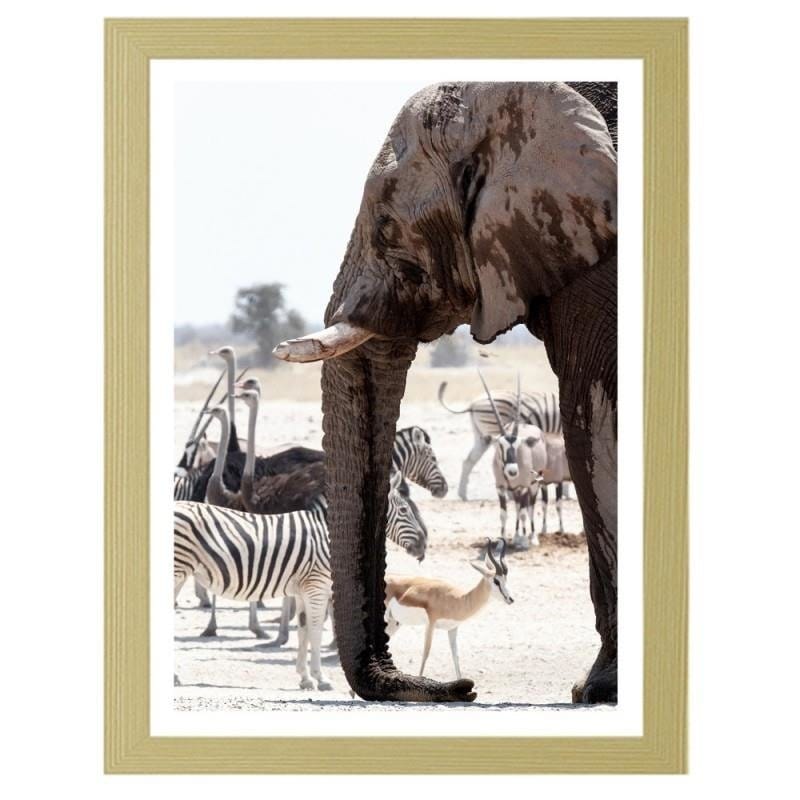 Glezna bēšā rāmī - African elephant  Home Trends DECO