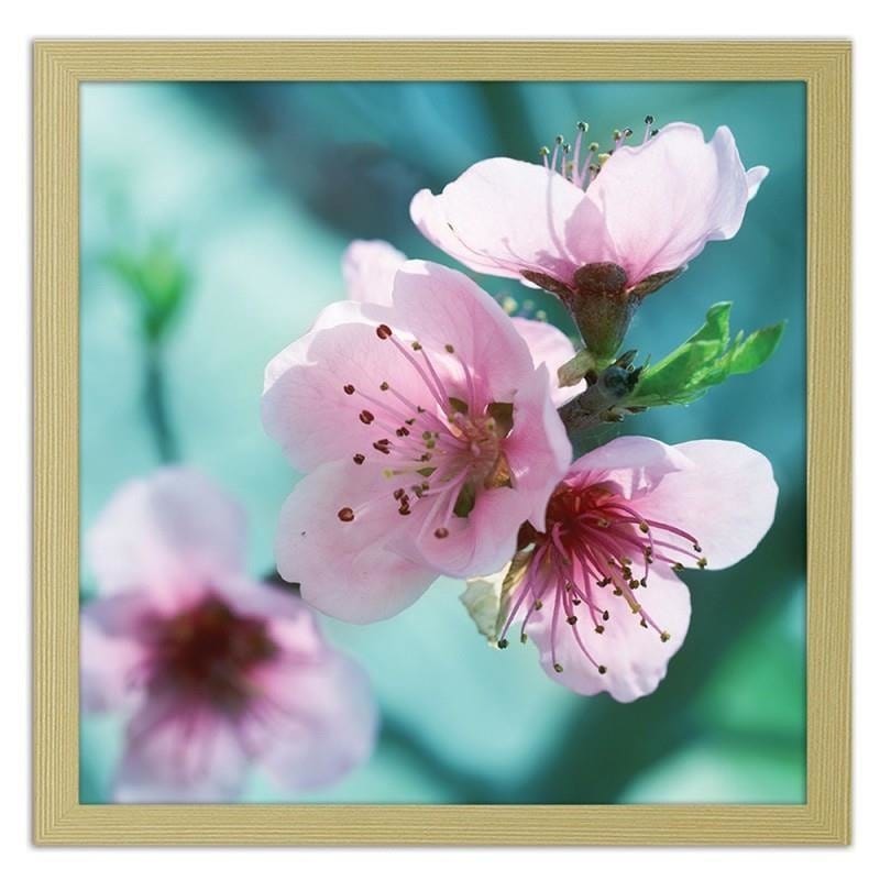 Glezna bēšā rāmī - Almond pink flowers  Home Trends DECO