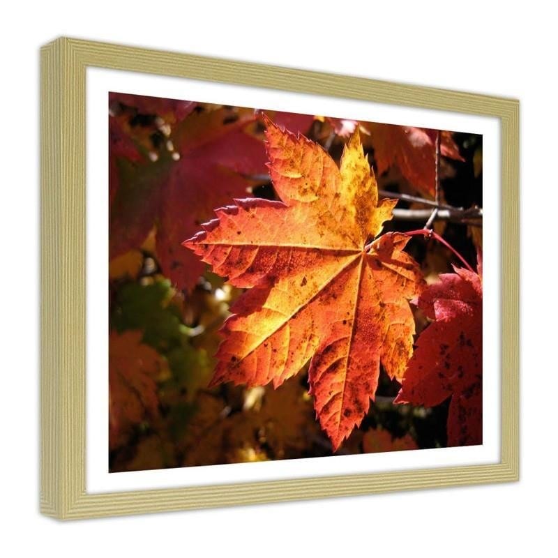 Glezna bēšā rāmī - Autumn leaf  Home Trends DECO