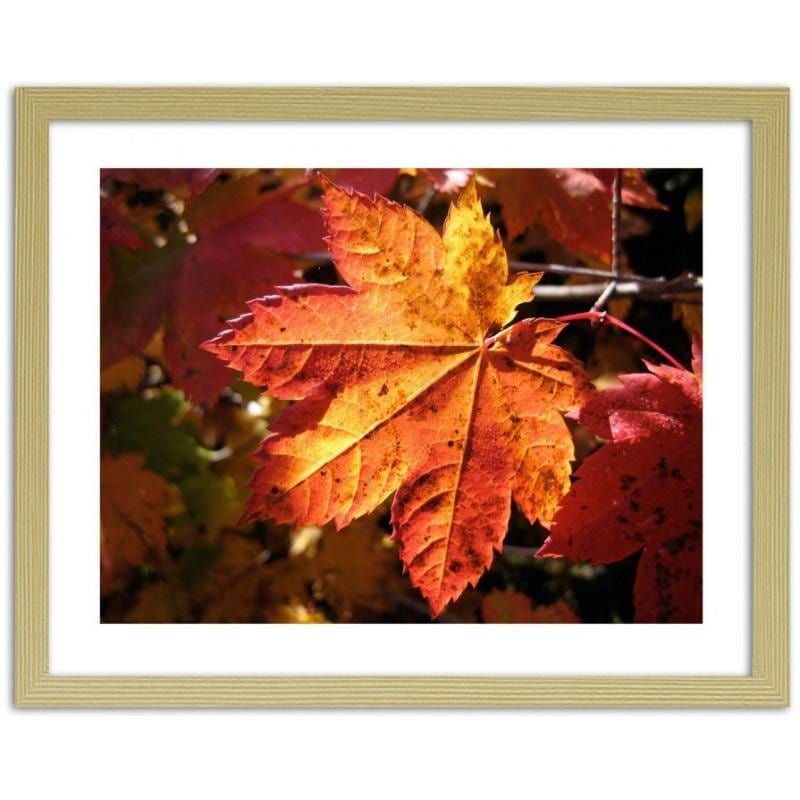 Glezna bēšā rāmī - Autumn leaf  Home Trends DECO