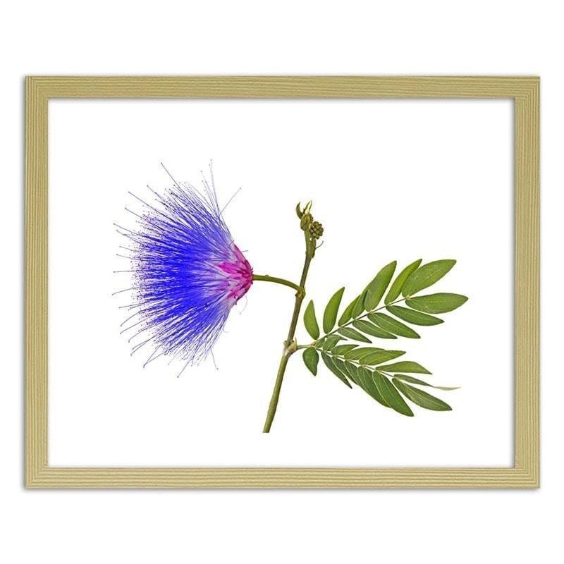 Glezna bēšā rāmī - Blue and pink flower  Home Trends DECO