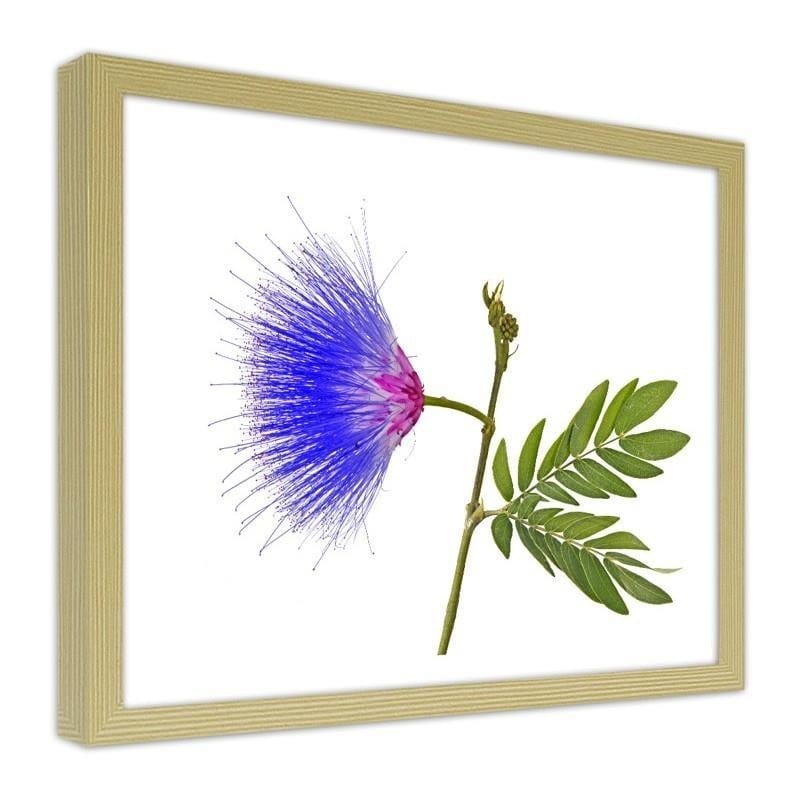 Glezna bēšā rāmī - Blue and pink flower  Home Trends DECO