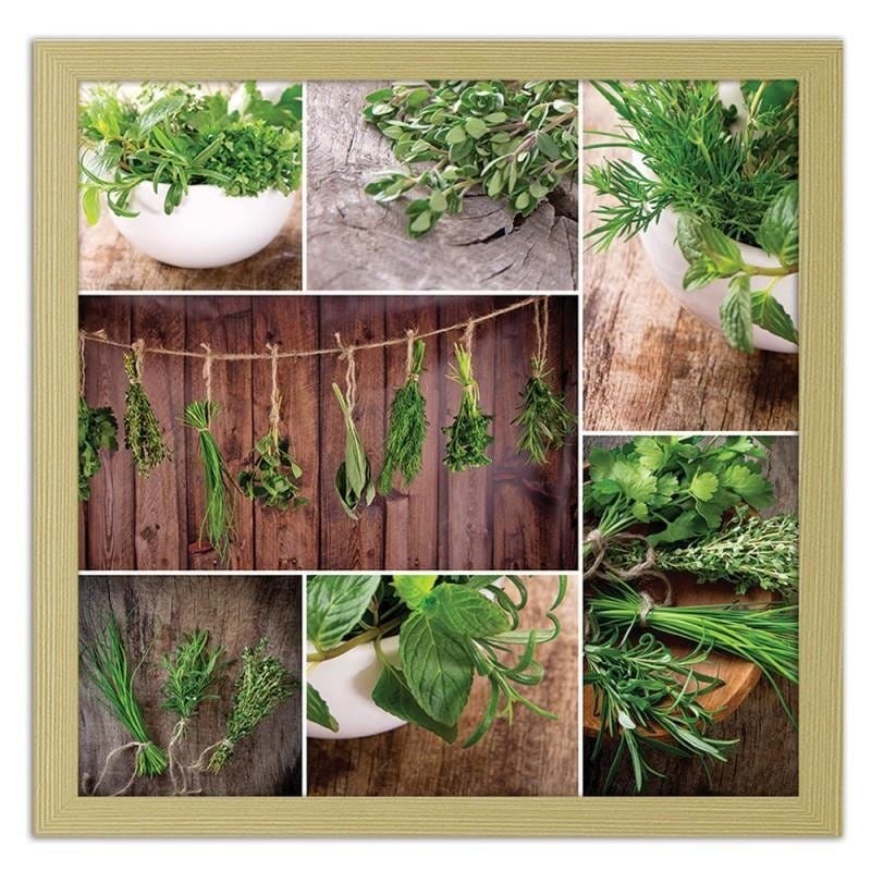 Glezna bēšā rāmī - Collected herbs  Home Trends DECO