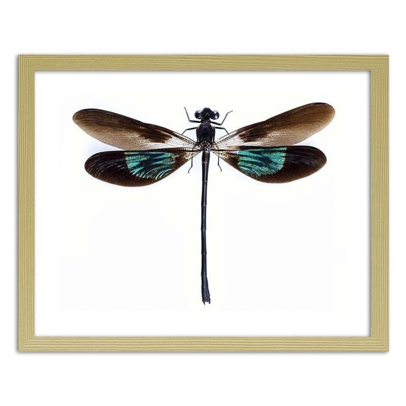 Glezna bēšā rāmī - Dragonfly  Home Trends DECO