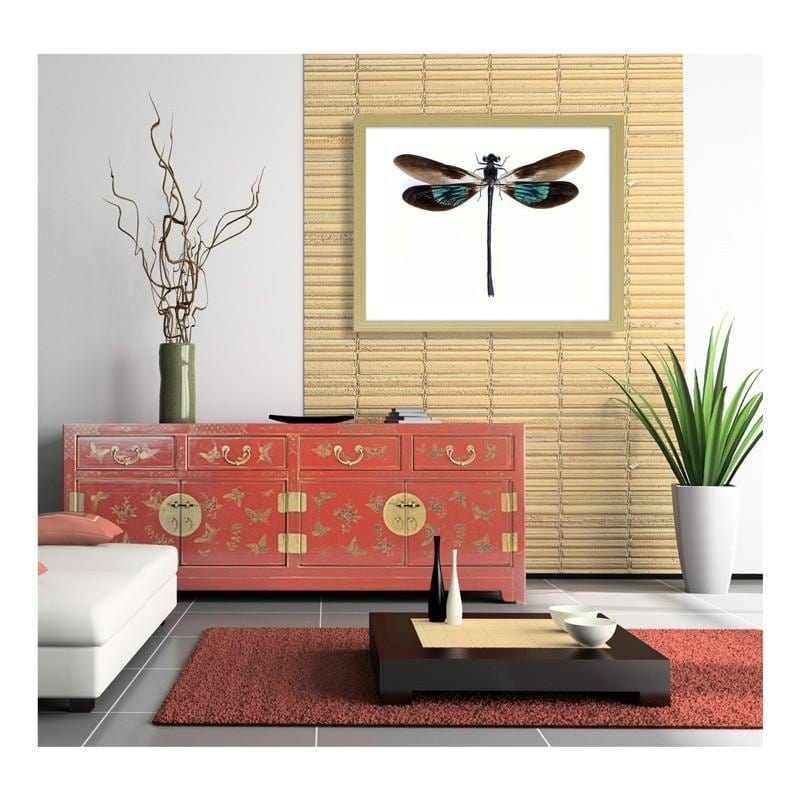 Glezna bēšā rāmī - Dragonfly  Home Trends DECO