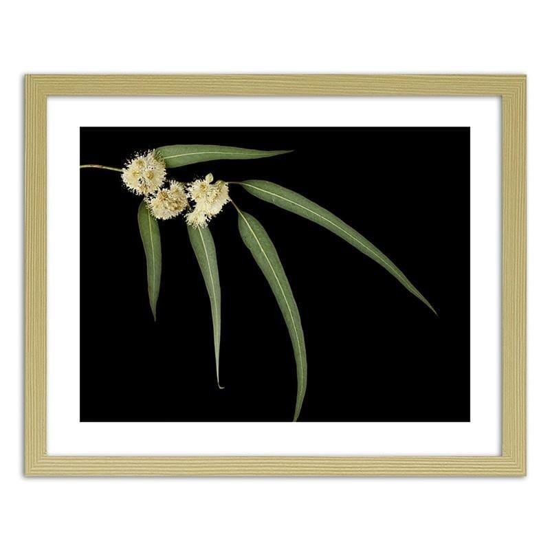 Glezna bēšā rāmī - Eucalyptus  Home Trends DECO