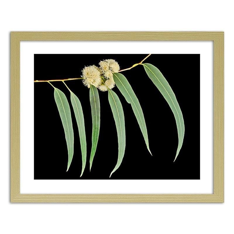 Glezna bēšā rāmī - Eucalyptus leaves  Home Trends DECO