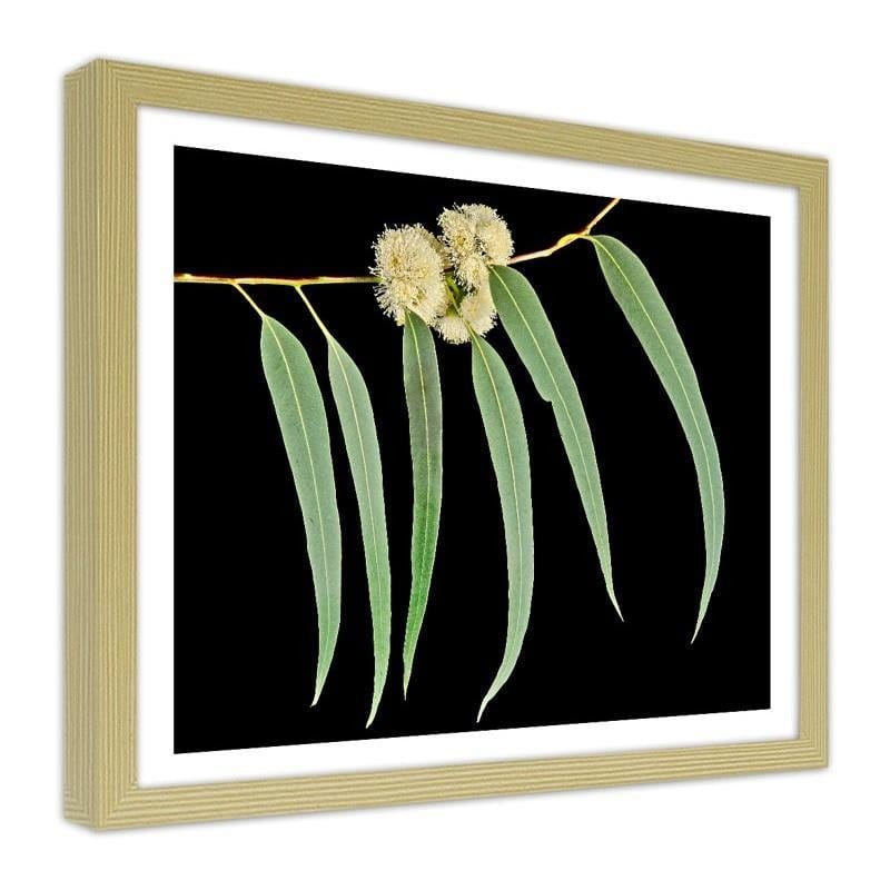 Glezna bēšā rāmī - Eucalyptus leaves  Home Trends DECO