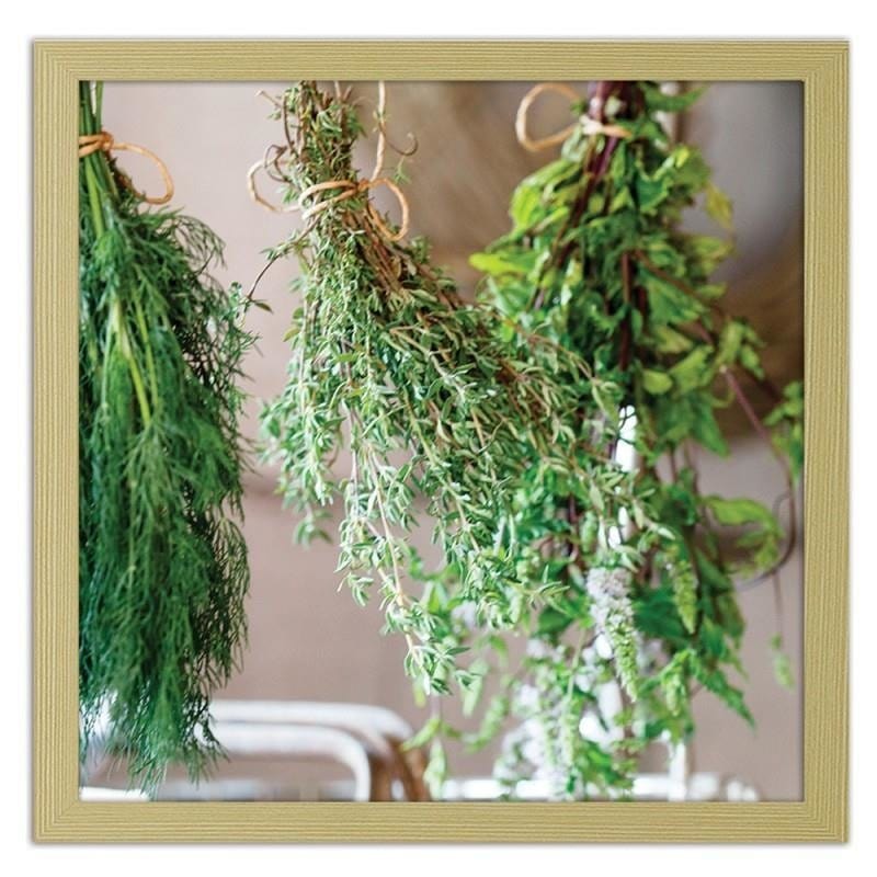 Glezna bēšā rāmī - Fresh herbs 2  Home Trends DECO