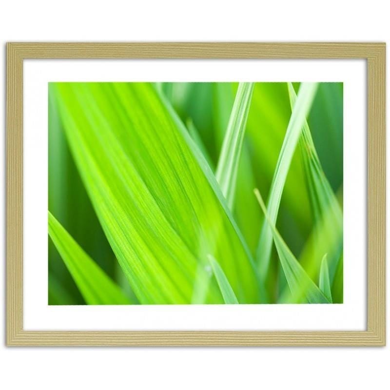 Glezna bēšā rāmī - Grass leaves  Home Trends DECO
