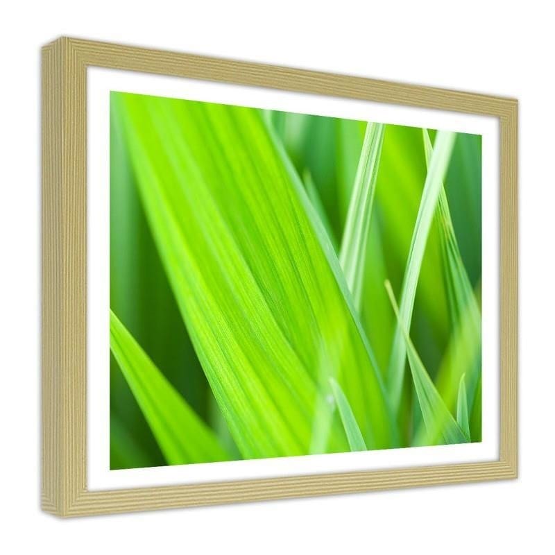 Glezna bēšā rāmī - Grass leaves  Home Trends DECO