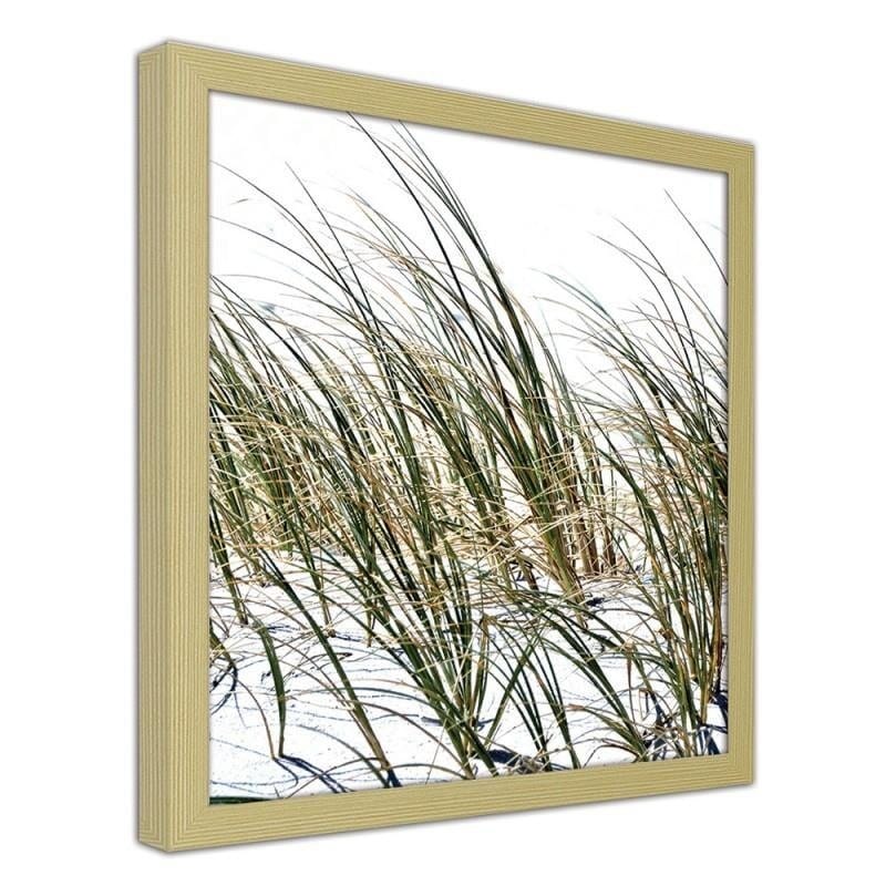 Glezna bēšā rāmī - Grass on the beach  Home Trends DECO