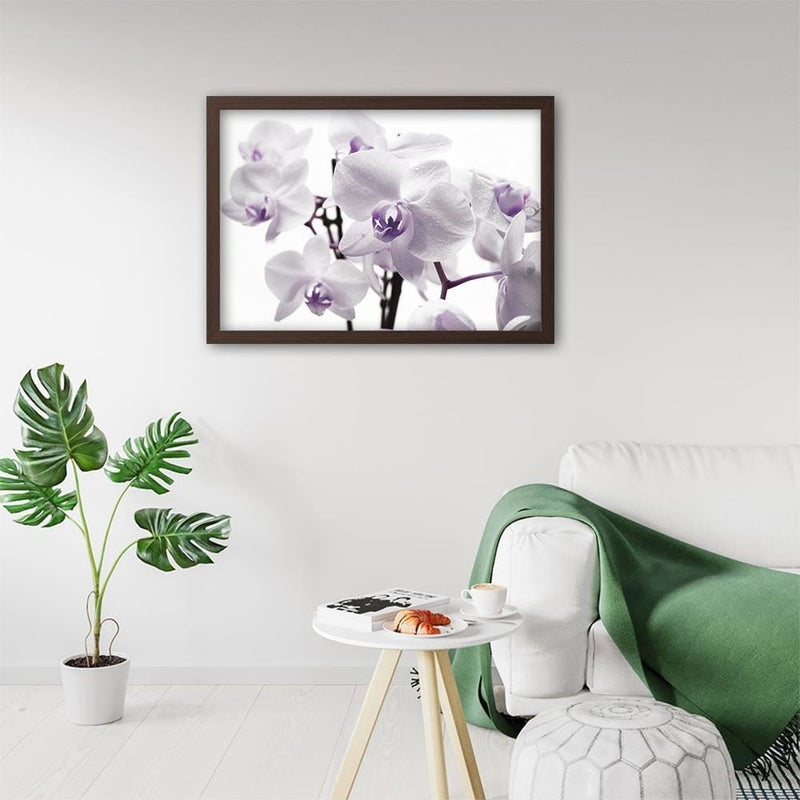 Glezna brūnā rāmī - White Orchid 3  Home Trends DECO