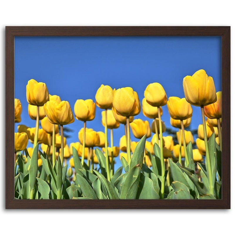 Glezna brūnā rāmī - Yellowe Flowers  Home Trends DECO