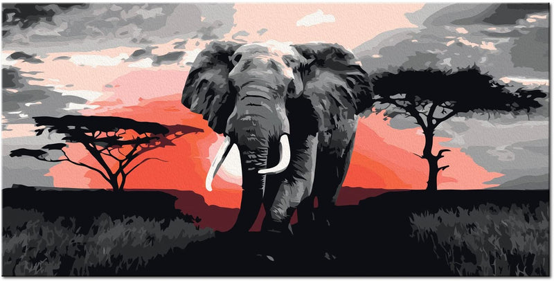 Glezna izkrāso pēc cipariem - Elephant (Africa) 80x40cm Artgeist