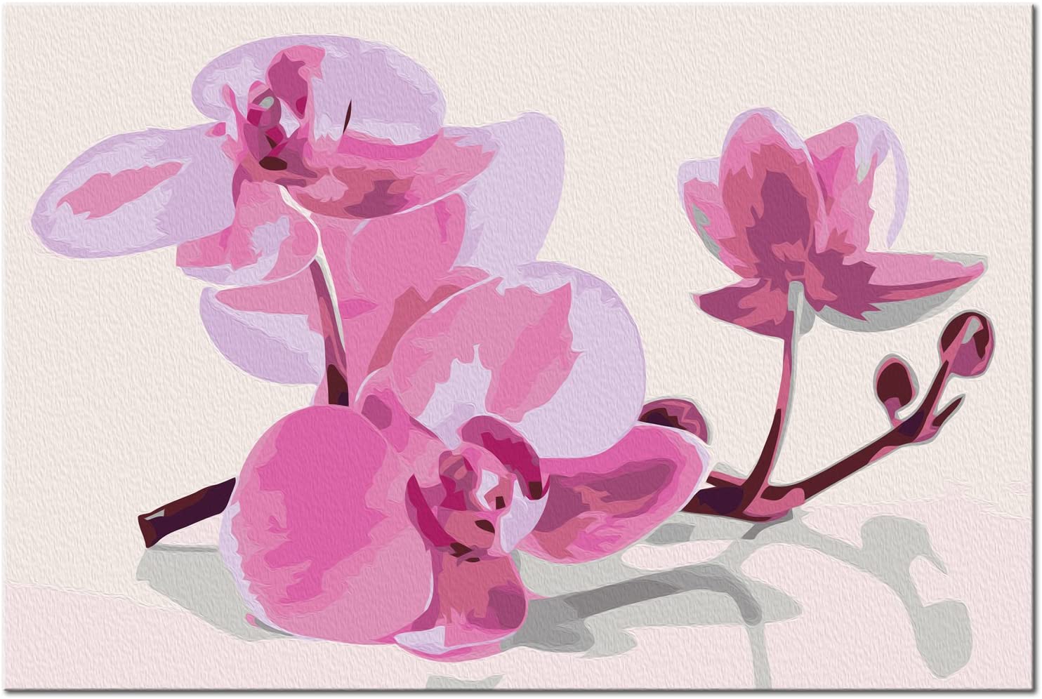 Glezna izkrāso pēc cipariem - Orchid Flowers 60x40 cm Artgeist