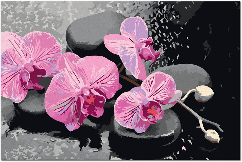 Glezna izkrāso pēc cipariem - Orchid With Zen Stones 60x40 cm Artgeist