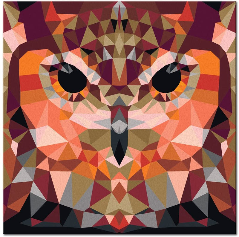 Glezna izkrāso pēc cipariem - Owl (Geometrical) 40x40 cm Artgeist