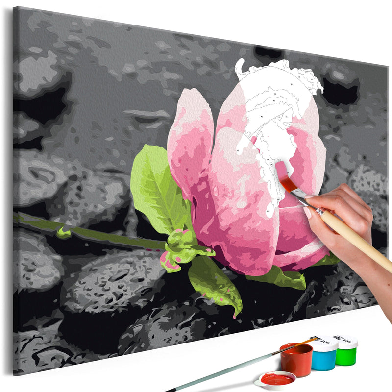 Glezna izkrāso pēc cipariem - Pink Flower and Stones 60x40 cm Artgeist