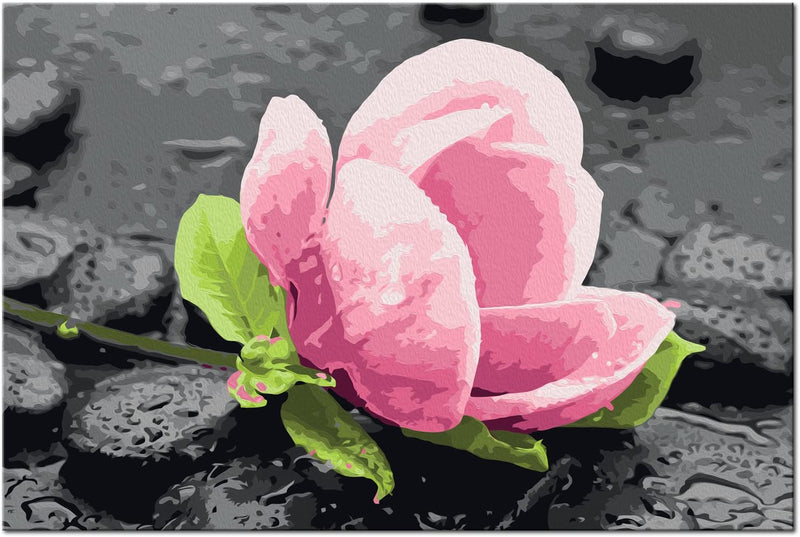Glezna izkrāso pēc cipariem - Pink Flower and Stones 60x40 cm Artgeist
