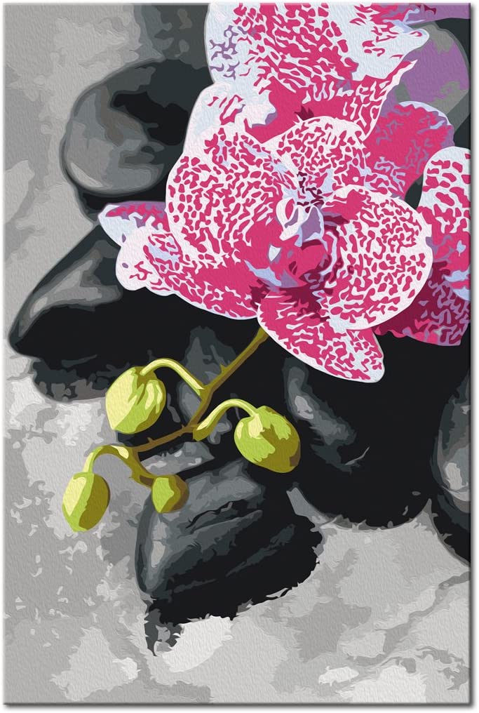 Glezna izkrāso pēc cipariem - Pink Orchid 40x60 cm Artgeist