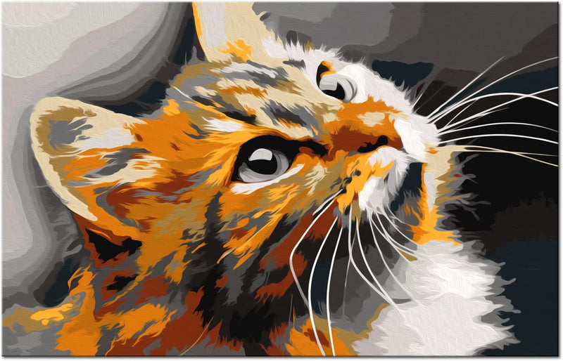 Glezna izkrāso pēc cipariem - Red Cat 60x40 cm Artgeist