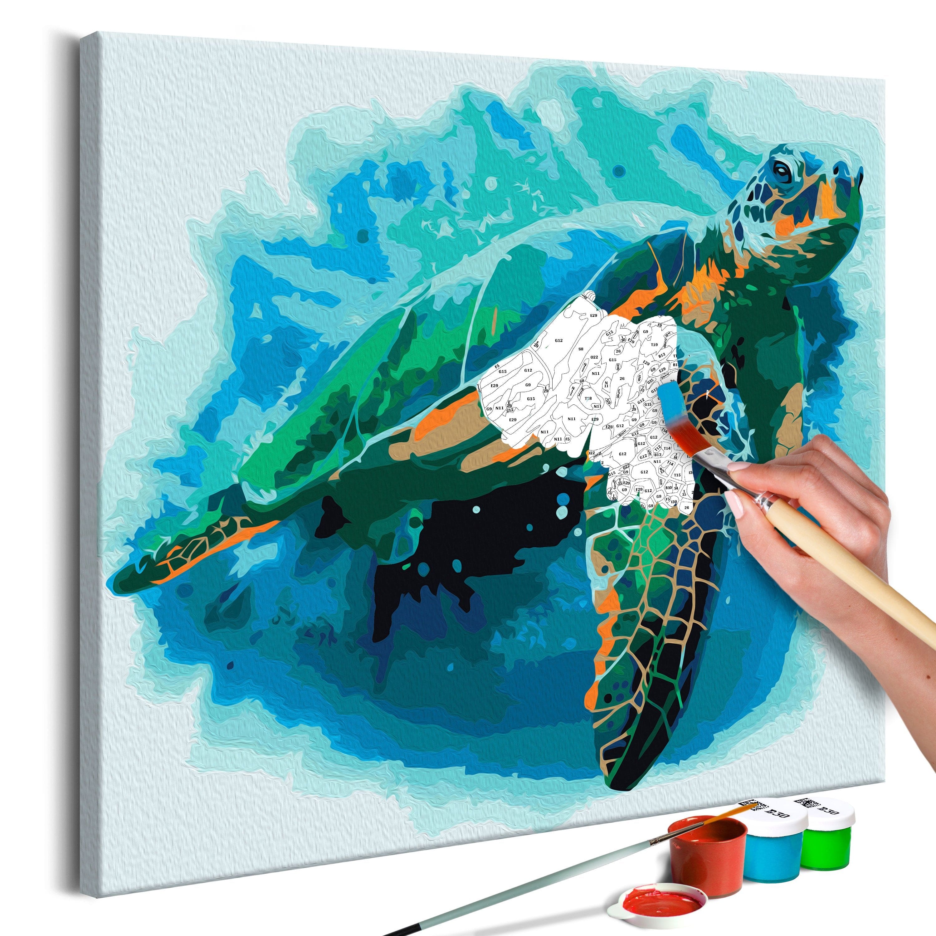 Glezna izkrāso pēc cipariem - Turtle 40x40 cm Artgeist