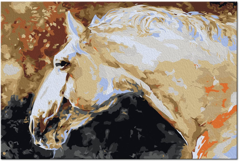 Glezna izkrāso pēc cipariem - White Horse 60x40 cm Artgeist