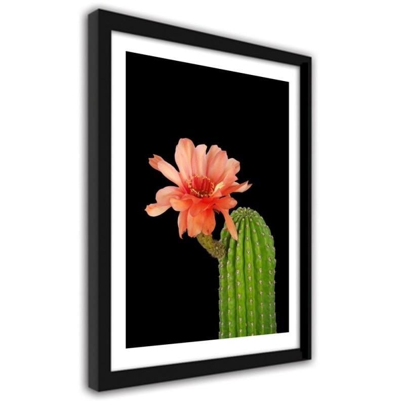 Glezna melnā rāmī - A cactus with a red flower  Home Trends