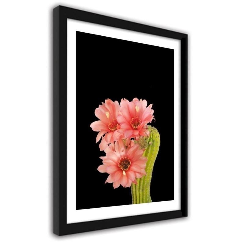 Glezna melnā rāmī - A cactus with red flowers  Home Trends