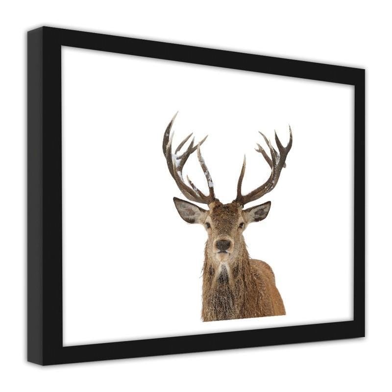 Glezna melnā rāmī - A deer's head on a white background  Home Trends